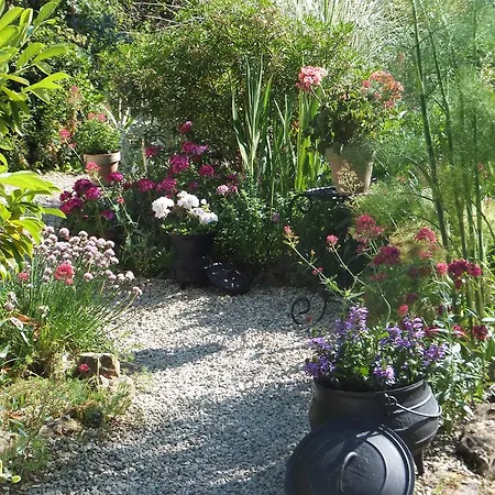 Bed & Breakfast Villemier Poitiers